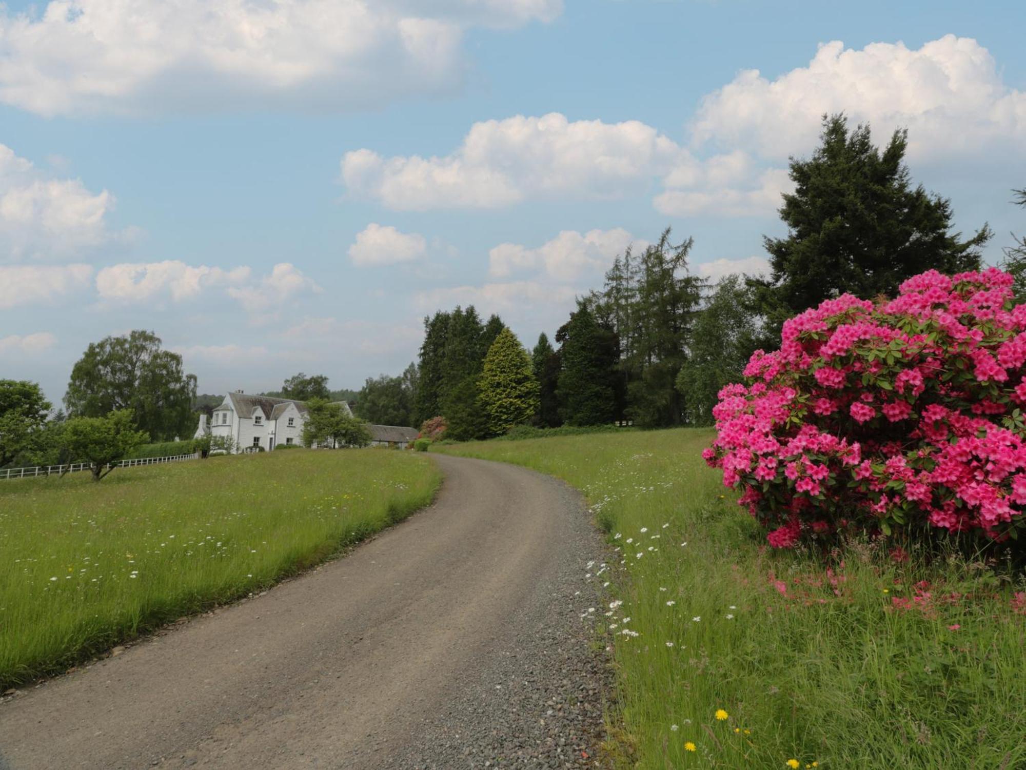 Fordie Lodge Crieff Esterno foto
